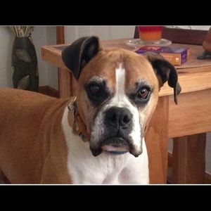 Meet your Posher, Jeanene